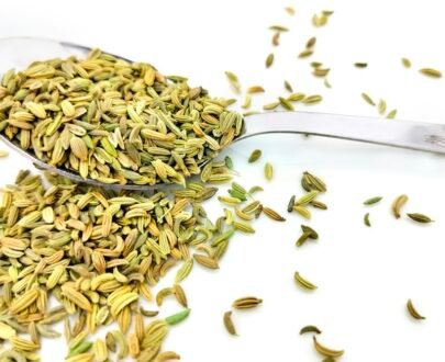 Fennel Seeds