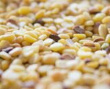Moong Dal