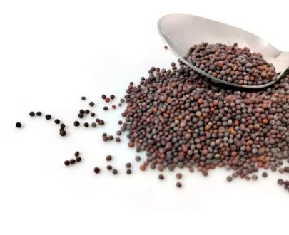 Mustard Seeds