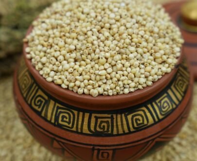 Pearl Millet (Bajra)