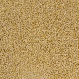 Proso Millet