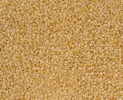 Proso Millet