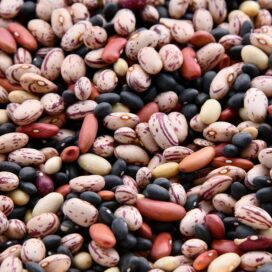 Rajma