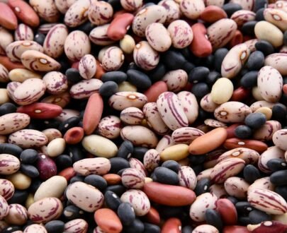 Rajma