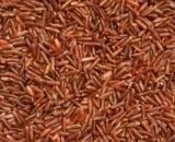 Red Rice