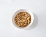 Sorghum (Jowar)