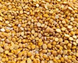 Toor Dal