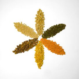 Urad Dal