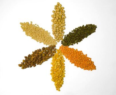 Urad Dal